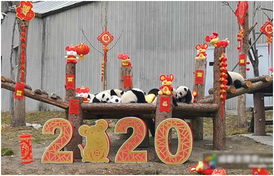 熊貓寶寶賀新春之用疏水閥檢漏儀讓您新年檢漏更輕松！【超鉅微檢】